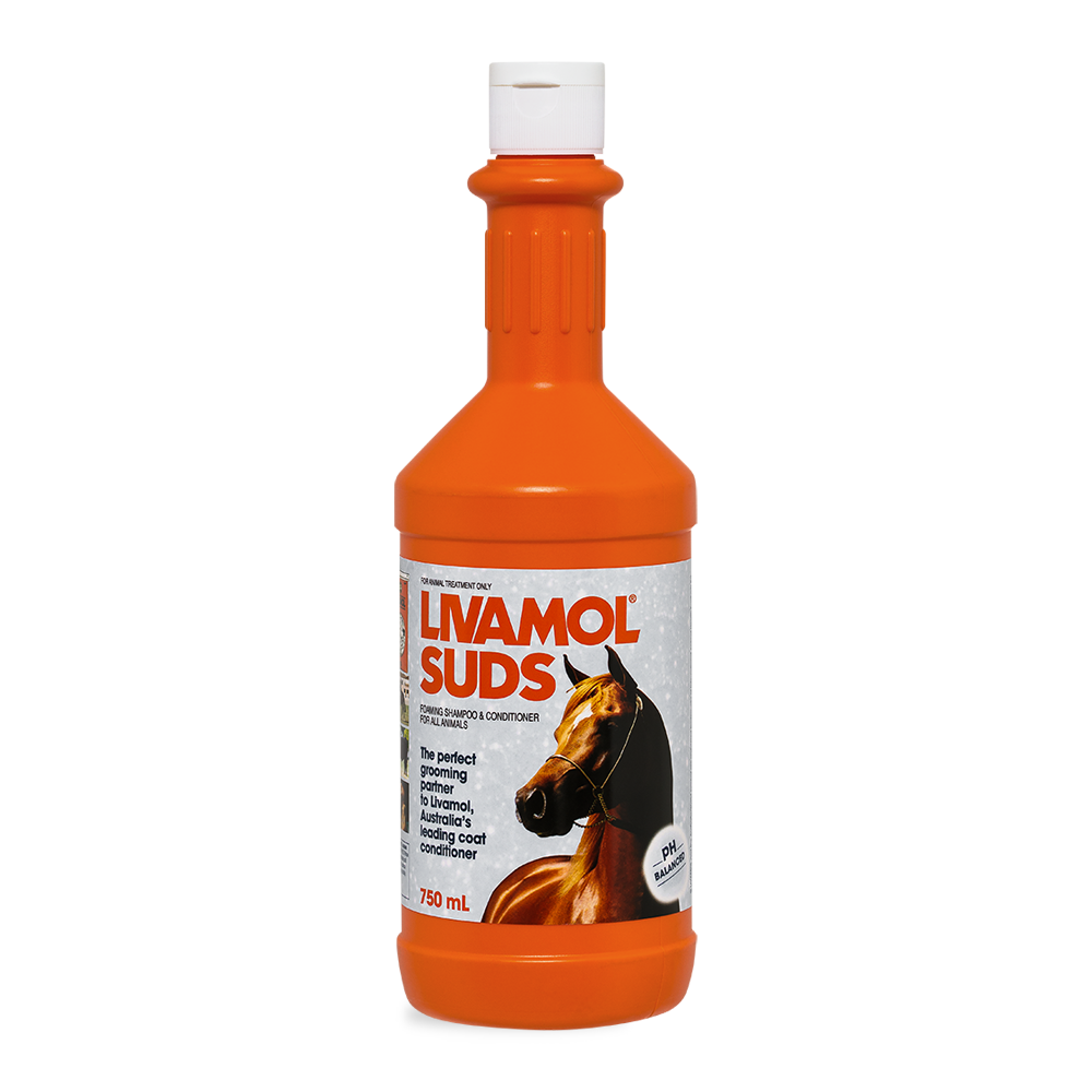 Livamol Suds Foaming Shampoo & Conditioner in 750ml Orange Bottle
