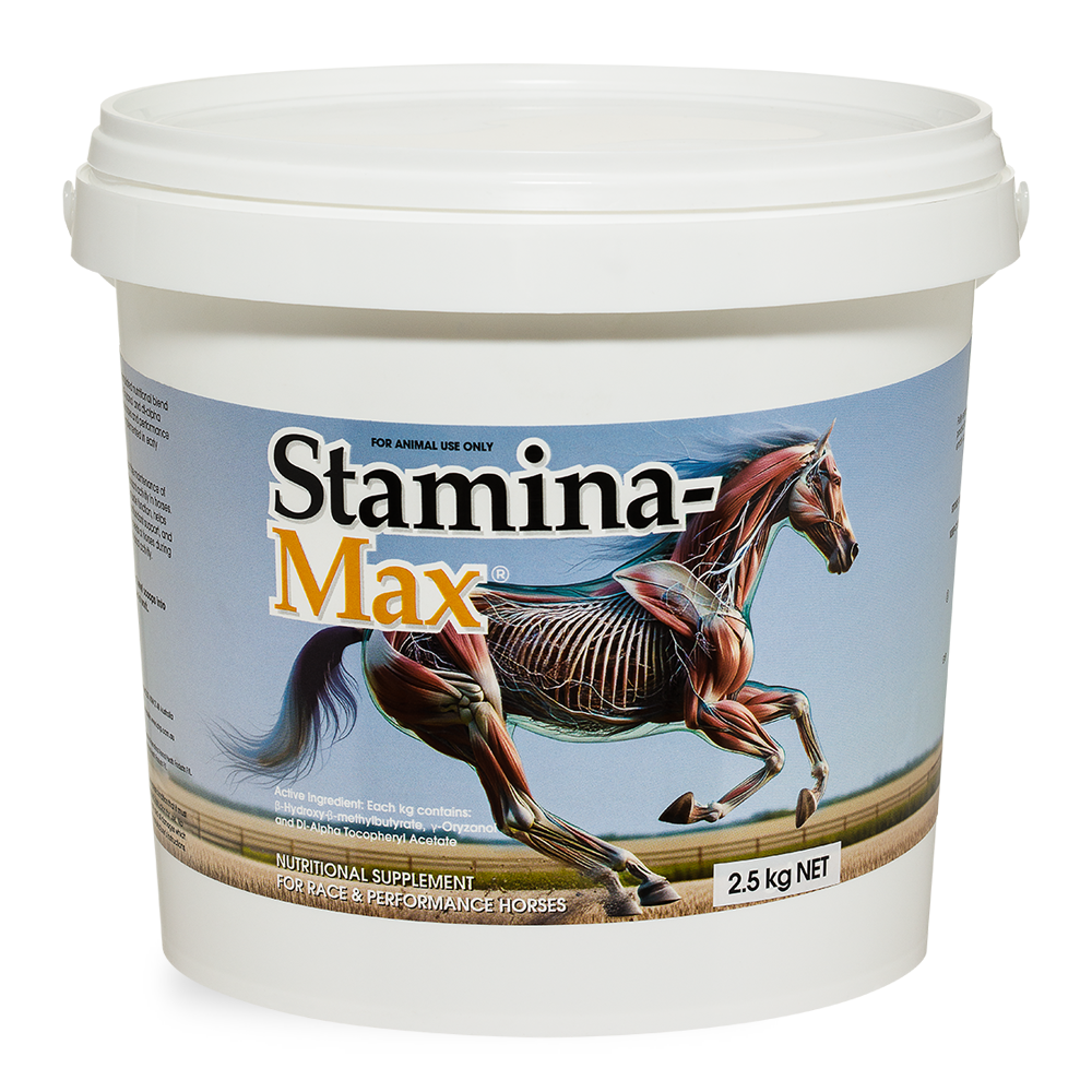 Stamina-Max for horses in 2.5kg White Container