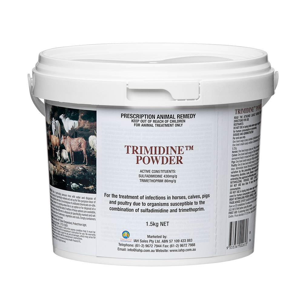 Trimidine Powder in 1.5Kg Container